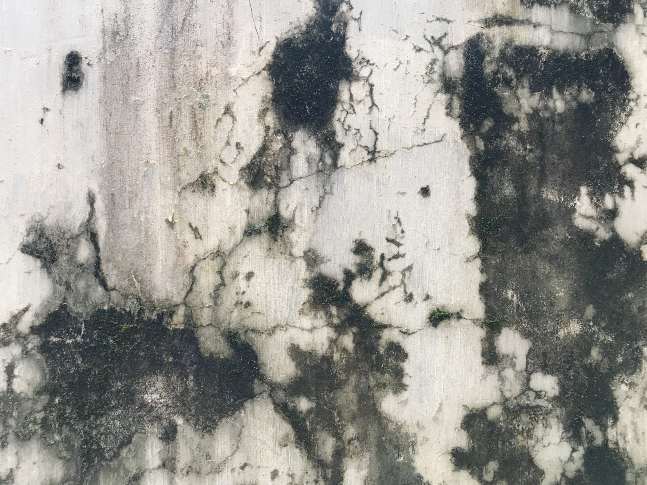 Home insulation Stamford