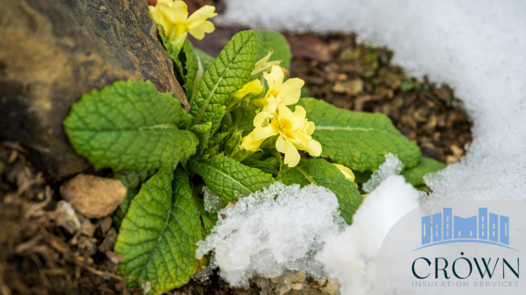 Commercial spray foam CT